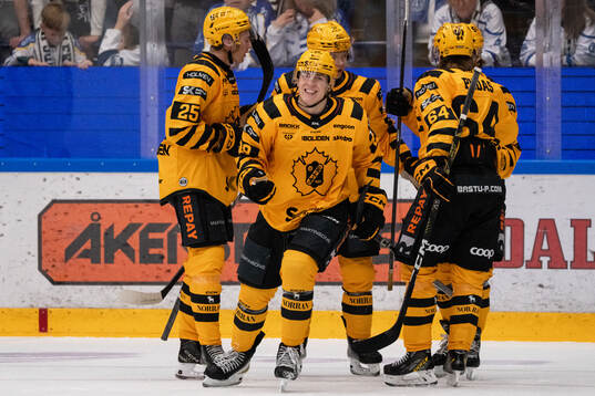 Skellefteås Michael Brandsegg-Nygård jublar