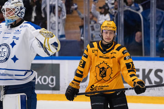 Skellefteås Valter Lindberg deppar