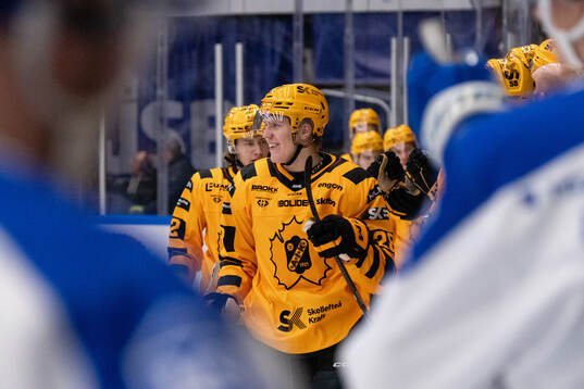 Skellefteås Michael Brandsegg-Nygård jublar