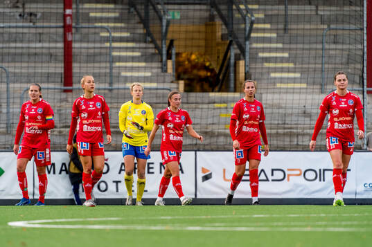 Linköpings spelare deppar