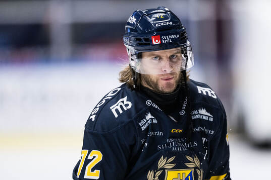 Södertäljes Nicolai Meyer