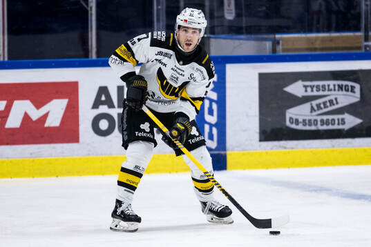 Västerås Konstantin Komarek