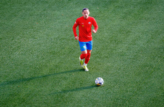 Helsingborgs Ervin Gigovic