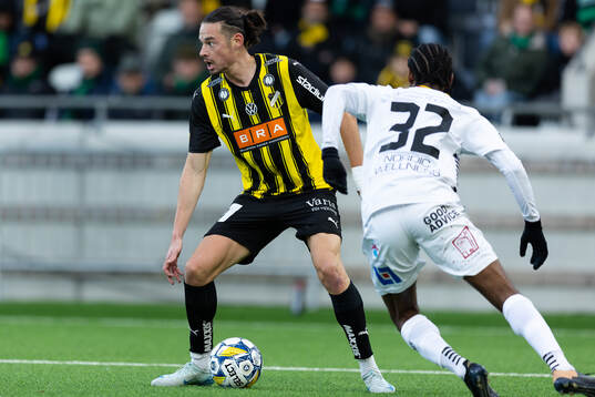 Häckens Amor Layouni
