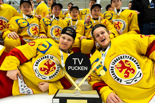 Smålands Carl Johnsson och Adam Annborn jublar