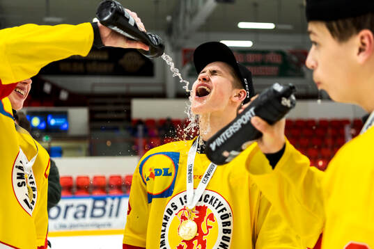 Smålands Alfred Ingelsten jublar