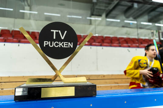 Pokalen