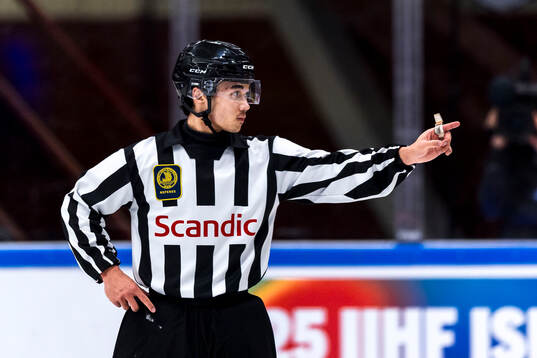 Domare Elliot Östlin