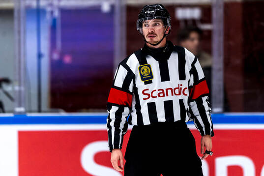 Domare Oskar Byrskog Gadd