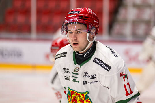 Moras Gustav Salmi-Lilja