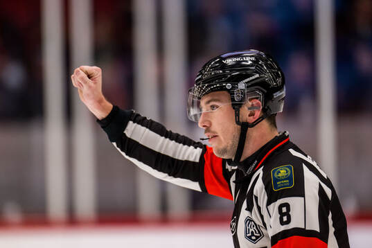 Domare Oscar Niklasson