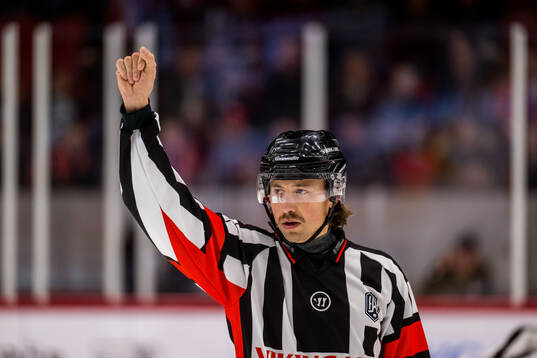 Domare Robin Jacobsson