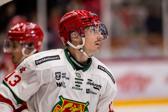 Moras Fabian Ilestedt