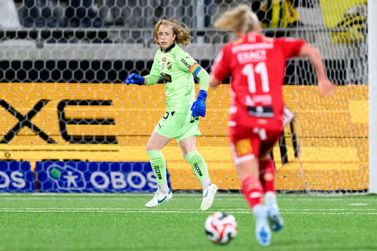 Häckens målvakt Loes Geurts