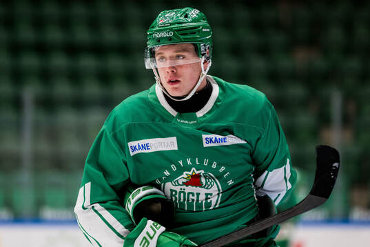 Rögles Eric Bürger