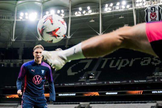 Erik Botheim of Malmö FF