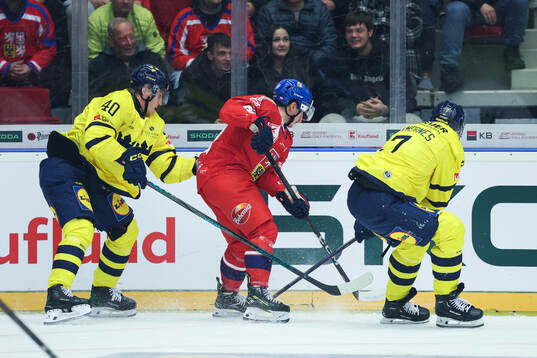 Jacob Peterson and Henrik Tömmernes of Sweden