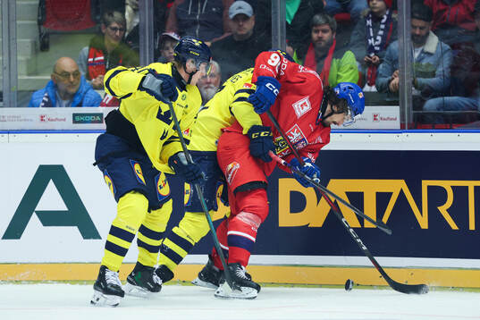 Jacob Peterson and Henrik Tömmernes of Sweden against