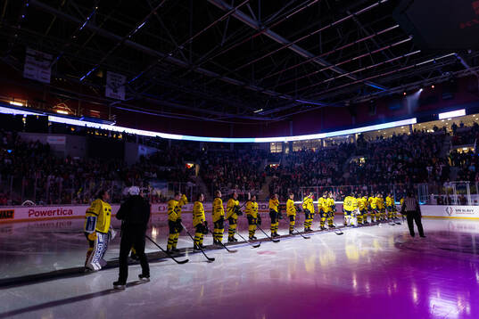 Players of Sweden