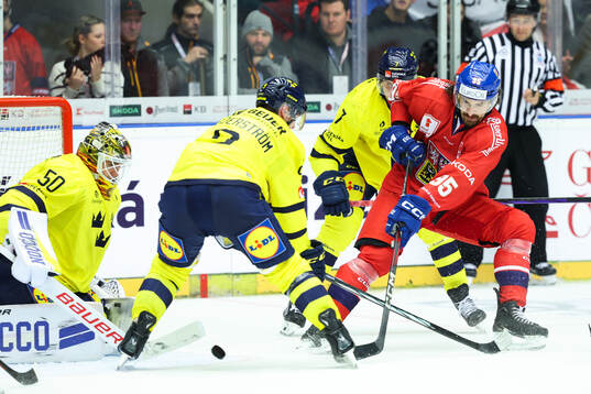 David Vozenilek of Czech Republic