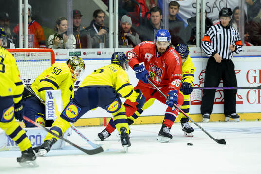 David Vozenilek of Czech Republic