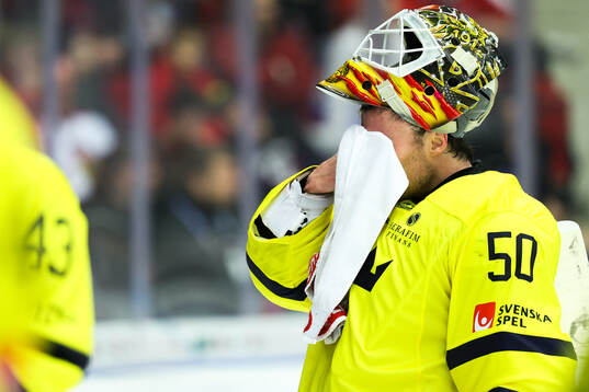 Goaltender Erik Källgren of Sweden looks dejected