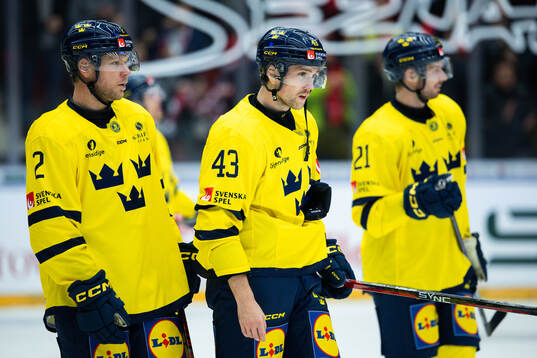 Christian Folin and Filip Berglund of Sweden look dejected