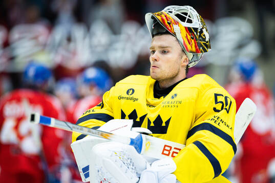 Goaltender Erik Källgren of Sweden looks dejected