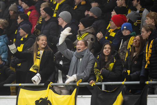 Supporters in the stands