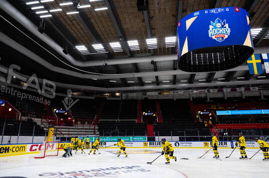 Players of Sweden