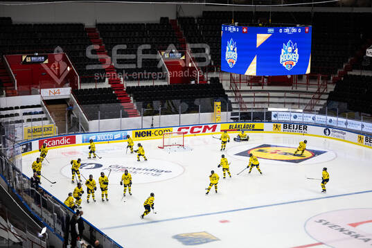 Players of Sweden
