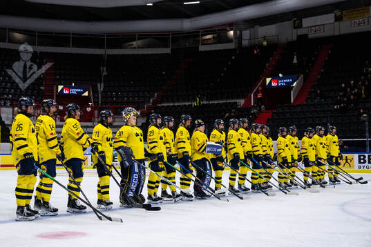 Players of Sweden