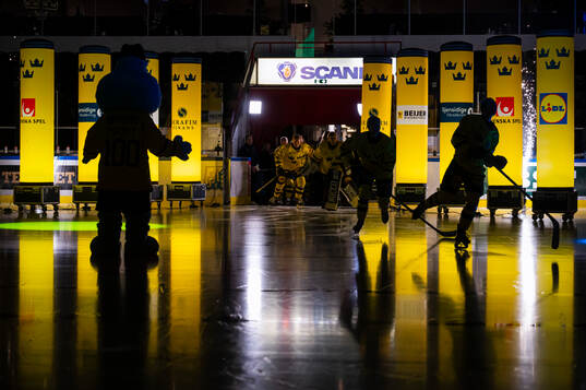 Players of team Sweden step