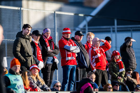 Spectators in the stands