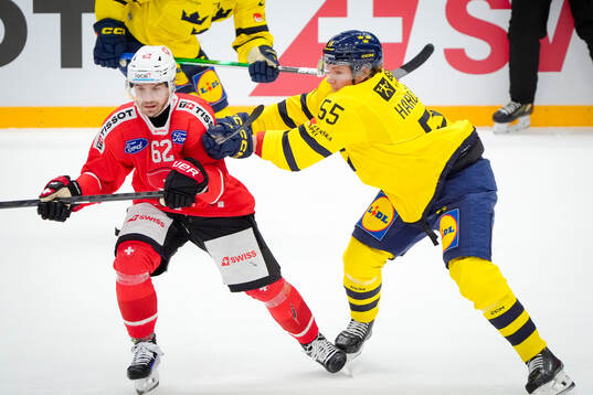 Denis Malgin of Switzerland and Marcus Hardegård of Sweden