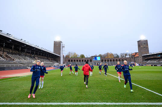 Rosengårds spelare