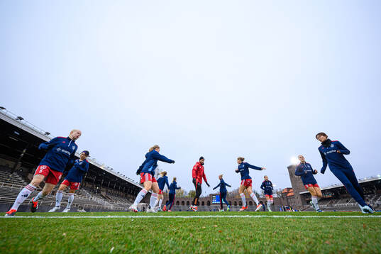 Rosengårds spelare