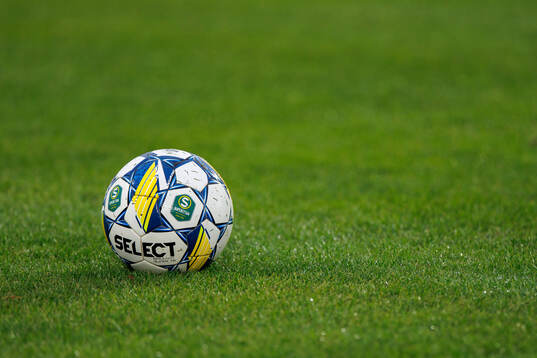 En fotboll