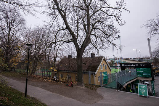 Hammarby IP