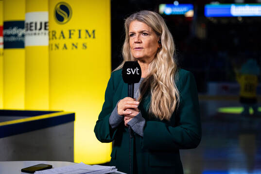Marie Lehmann, SVT reporter