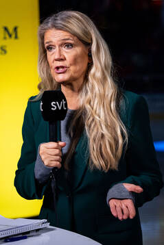 Marie Lehmann, SVT reporter