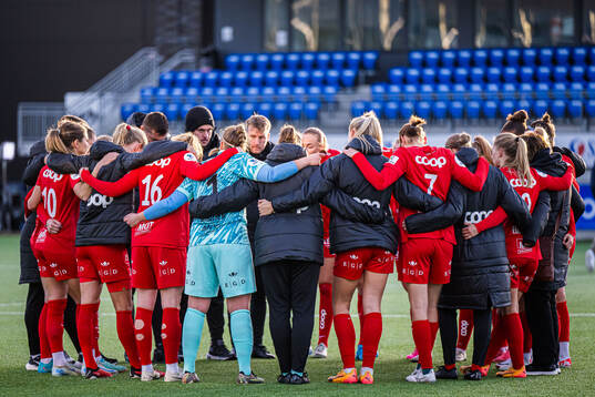Players of Brann