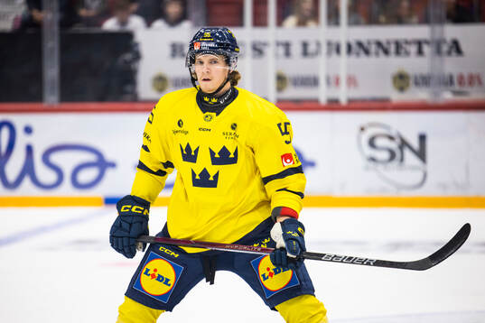 Marcus Hardegård of Sweden