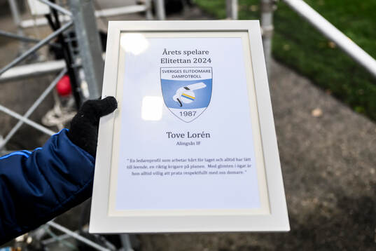 En tavla med motiveringen för priset för Årets spelare i