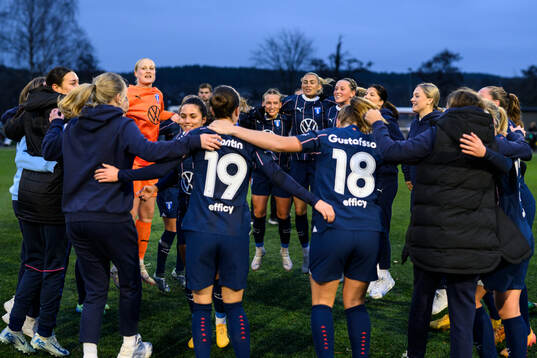 Malmö FFs spelare jublar