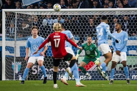 Malmö FFs målvakt Ricardo Friedrich