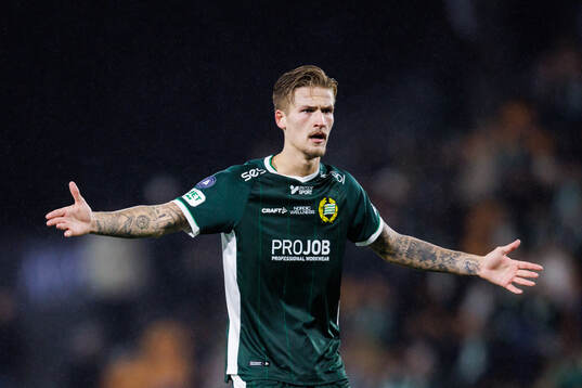 Hammarbys Fredrik Hammar