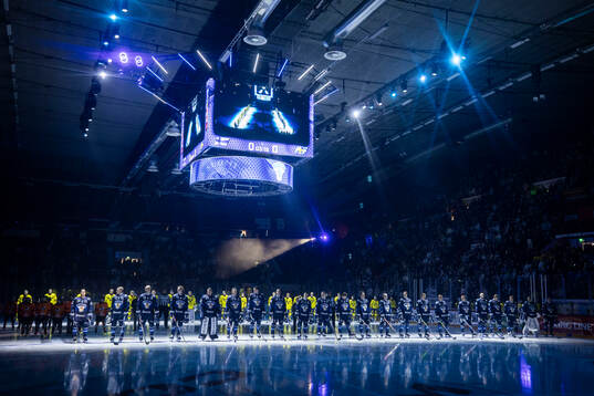 Players of Sweden and Finland