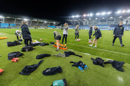 Players of Hammarby