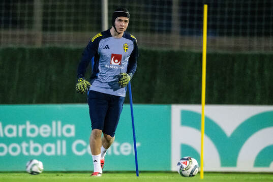 Goalkeeper Jacob Widell Zetterström of the Swedish men's